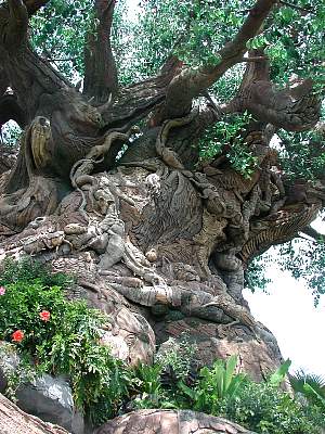 disney_2000_162_Disney2000 WDW Animal Kingdom 1 June-542.JPG